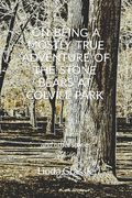 On Being a Mostly True Adventure of the Stone Bears at Colvill Park: and other stories (en Inglés)