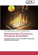 Herramientas Técnicas y Prácticas de Gestión: Caracterización y uso en las Micro Pequeñas y Medianas Empresas