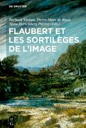 Flaubert et les Sortilèges de L'image (en Francés)