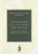 Comentarios a la ley Penal del Menor: (Conforme a las Reformas Introducidas por la lo 8