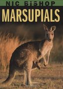 marsupials