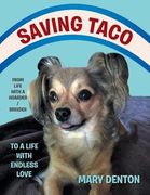 Saving Taco: From Life with a Hoarder/ Breeder