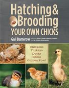 Hatching & Brooding Your own Chicks: Chickens, Turkeys, Ducks, Geese, Guinea Fowl (en Inglés)