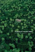 in search of the rain forest
