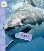 Sharks (Spot Ocean Animals) (en Inglés)