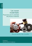 Las causas incidentales. Propuestas para la celeridad del proceso incidental (Canónica)