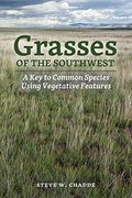 Grasses of the Southwest: A key to Common Species Using Vegetative Features 