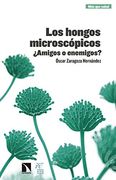 Los Hongos Microscópicos:  Amigos o Enemigos?