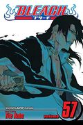bleach, vol. 57