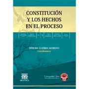 CONSTITUCIÓN  Y LOS HECHOS EN EL PROCESO