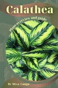 Calathea: Plant overview and guide (en Inglés)