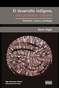 El desarrollo indígena, una promesa esquiva: Derechos, cultura, estrategia (Derecho y sociedad nº 2)