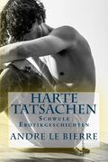Harte Tatsachen: Schwule Erotikgeschichten (en Alemán)