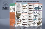 Tiburones, Rayas y Quimeras de Chile