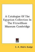 a catalogue of the egyptian collection in the fitzwilliam museum cambridge
