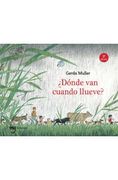 Donde van Cuando Llueve?