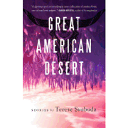 Great American Desert: Stories (en Inglés)