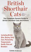 British Shorthair Cats, The Complete Owners Guide to British Shorthair Cats and Kittens Including British Blue, Buying, Daily Care, Personality, Temperament, Health, Diet and Breeders