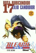 Bleach 17 (Manga en català)