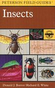 a field guide to insects,america north of mexico (en Inglés)