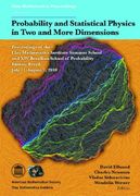 Probability and Statistical Physics in Two and More Dimensions (en Inglés)