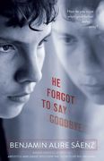 He Forgot to say Goodbye (en Inglés)