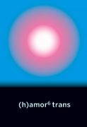 (H)Amor 6 Trans