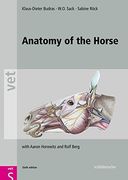 anatomy of the horse