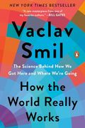 How the World Really Works: The Science Behind how we got Here and Where We're Going (en Inglés)