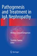 Pathogenesis and Treatment in IGA Nephropathy: An International Comparison
