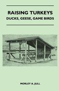raising turkeys - ducks, geese, game birds (en Inglés)