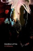 condition of fire (en Inglés)