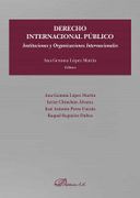 Derecho Internacional Público: Instituciones y Organizaciones Internacionales