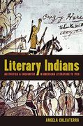 Literary Indians: Aesthetics and Encounter in American Literature to 1920 (en Inglés)