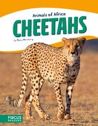 Cheetahs (en Inglés)