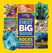Little Kids First big Book of Rocks, Minerals & Shells (Library Edition) (First big Books) (en Inglés)