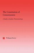 the constitution of consciousness: a study in analytic phenomenology (en Inglés)