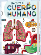 RECORRE EL CUERPO HUMANO