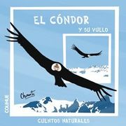 el condor y su vuelo