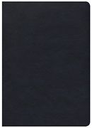 CSB She Reads Truth Bible, Navy LeatherTouch (en Inglés)