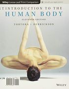 Introduction to the Human Body (en Inglés)