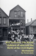 Red Summer: The Racial Violence of 1919 and the Birth of the Civil Rights Movement (en Inglés)