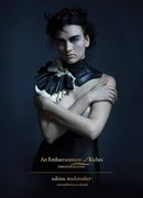 An Embarrassment of Riches: Photographs (en Inglés)