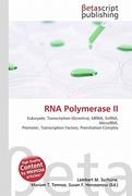 rna polymerase ii
