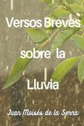 Versos Breves Sobre La Lluvia