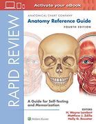 Rapid Review: Anatomy Reference Guide: A Guide for Self-Testing and Memorization (en Inglés)