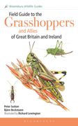 Field Guide to the Grasshoppers of Great Britain and Ireland (en Inglés)
