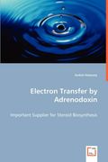 electron transfer by adrenodoxin