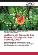 Avifauna de Sierra de las Damas, Cabaiguán, Sancti Spíritus, Cuba.