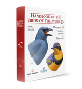 Handbook of the Birds of the World. Volume 10: Cuckoo-shrikes to Thrushes